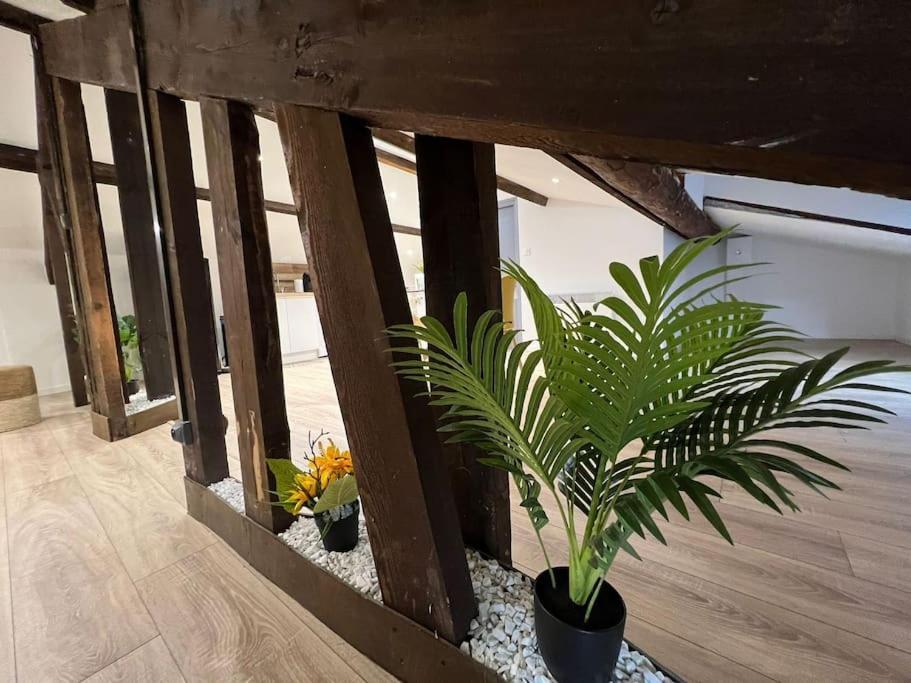 Kiss Cool - Loft En Centre Ville 생디지에 외부 사진